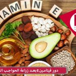 دور فيتامين E بعد زراعة الحواجب الطبيعية