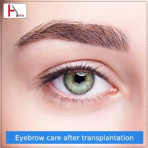 Eyebrow care after transplantation