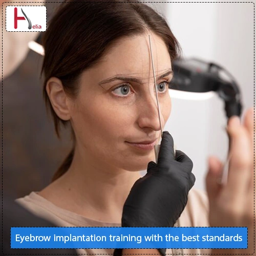 Eyebrow implantation training with the best standards