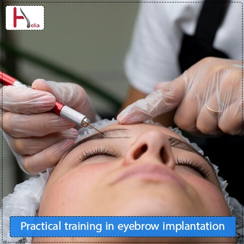 Practical training in eyebrow implantation